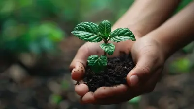 How Downsizing Can Help You Reduce Your Carbon Footprint