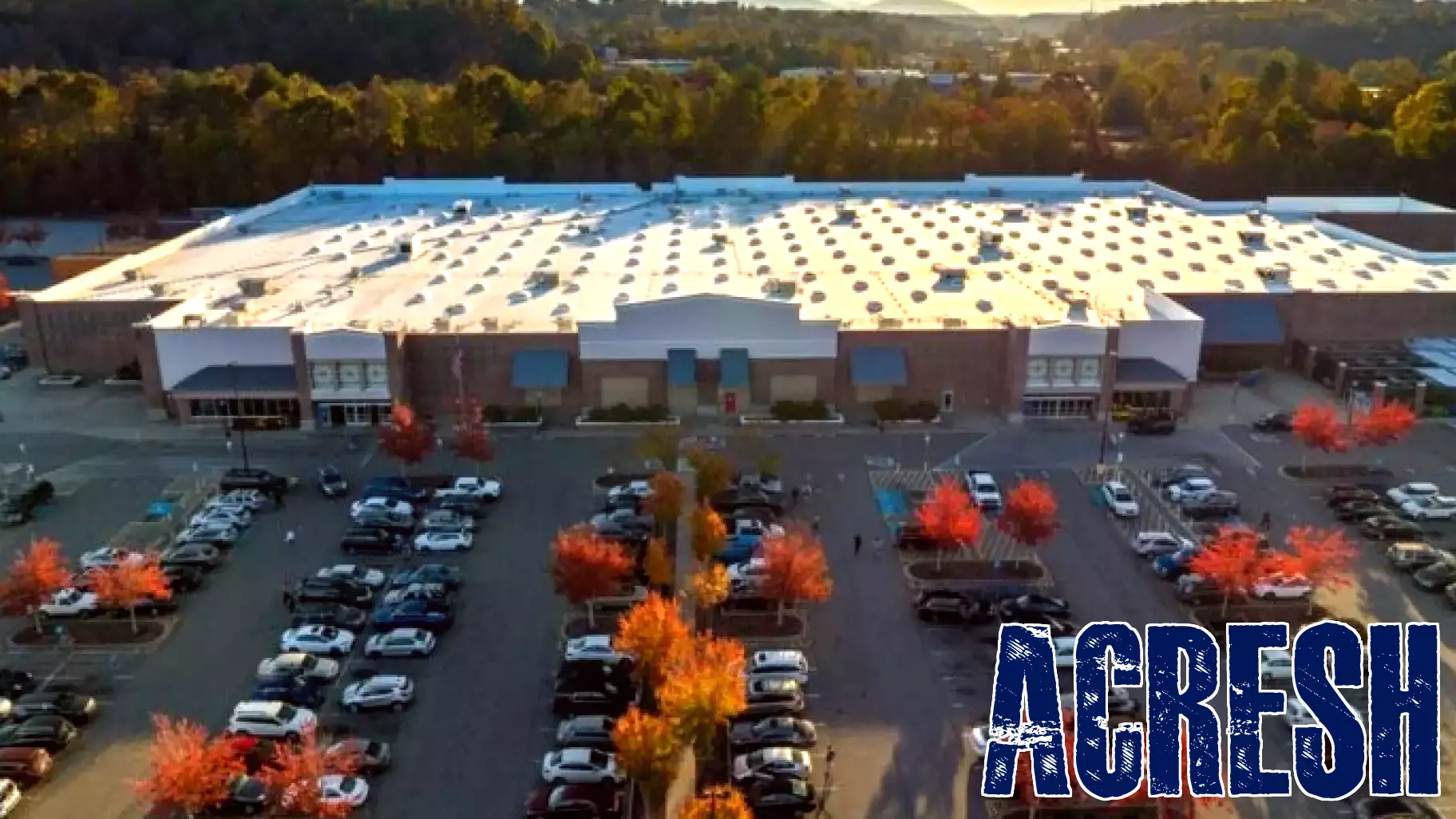 Wheeler Real Estate Investment Stock Surges Following Strong Q3 Earnings Report